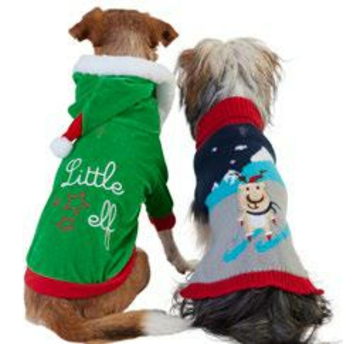 Bild 2 von Hundekostüm