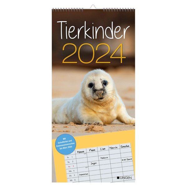 Bild 2 von Streifenkalender 2024