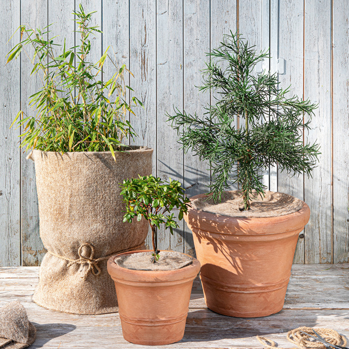 Bild 1 von Powertec Garden Wollfilz-Winterschutz