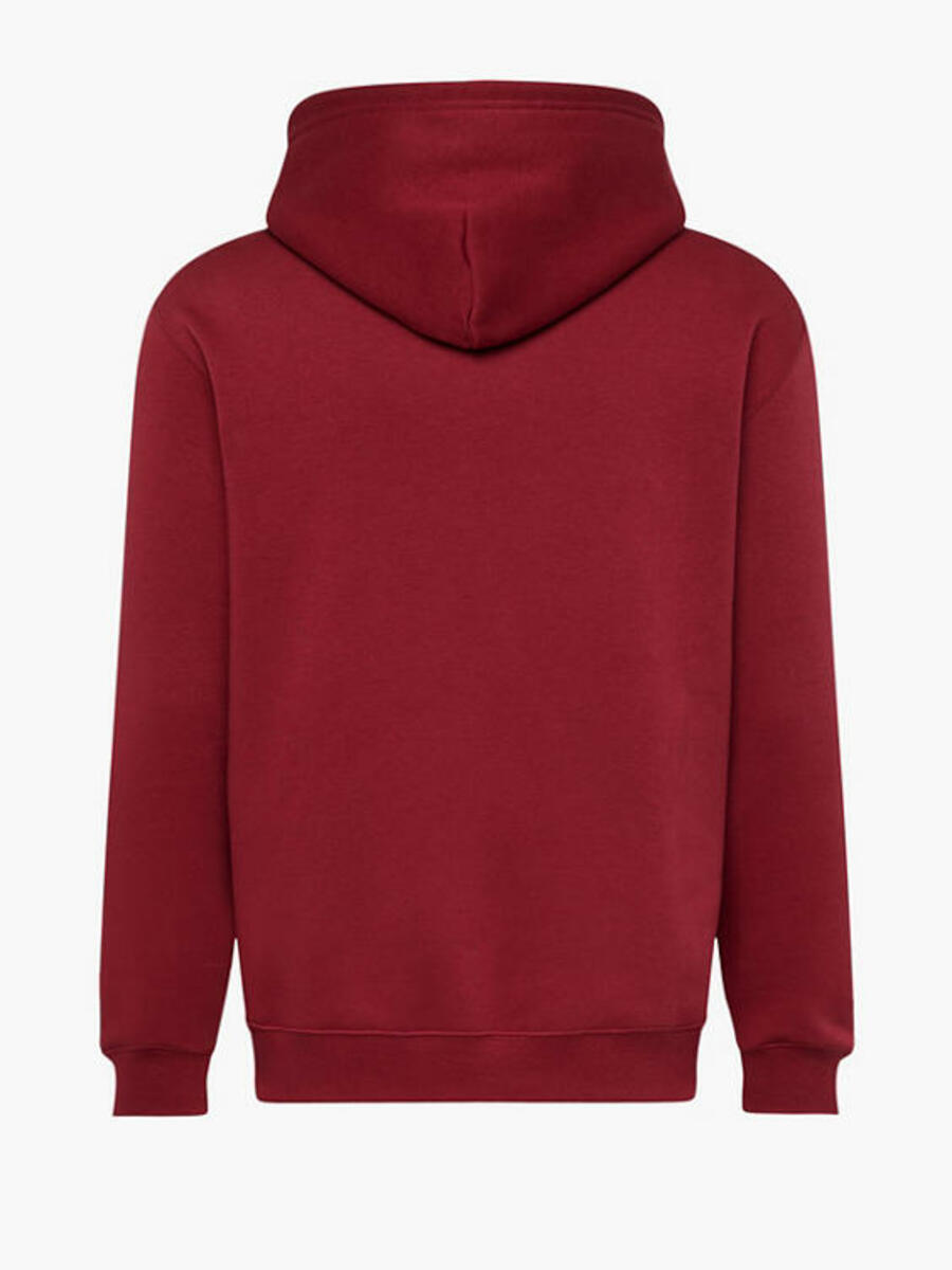 Bild 2 von Champion Hoodie