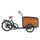 Bild 1 von Aitour Family-S, elektrisches Lastenfahrrad, Nexus 7-Nabe, 48 V, 13,4 Ah