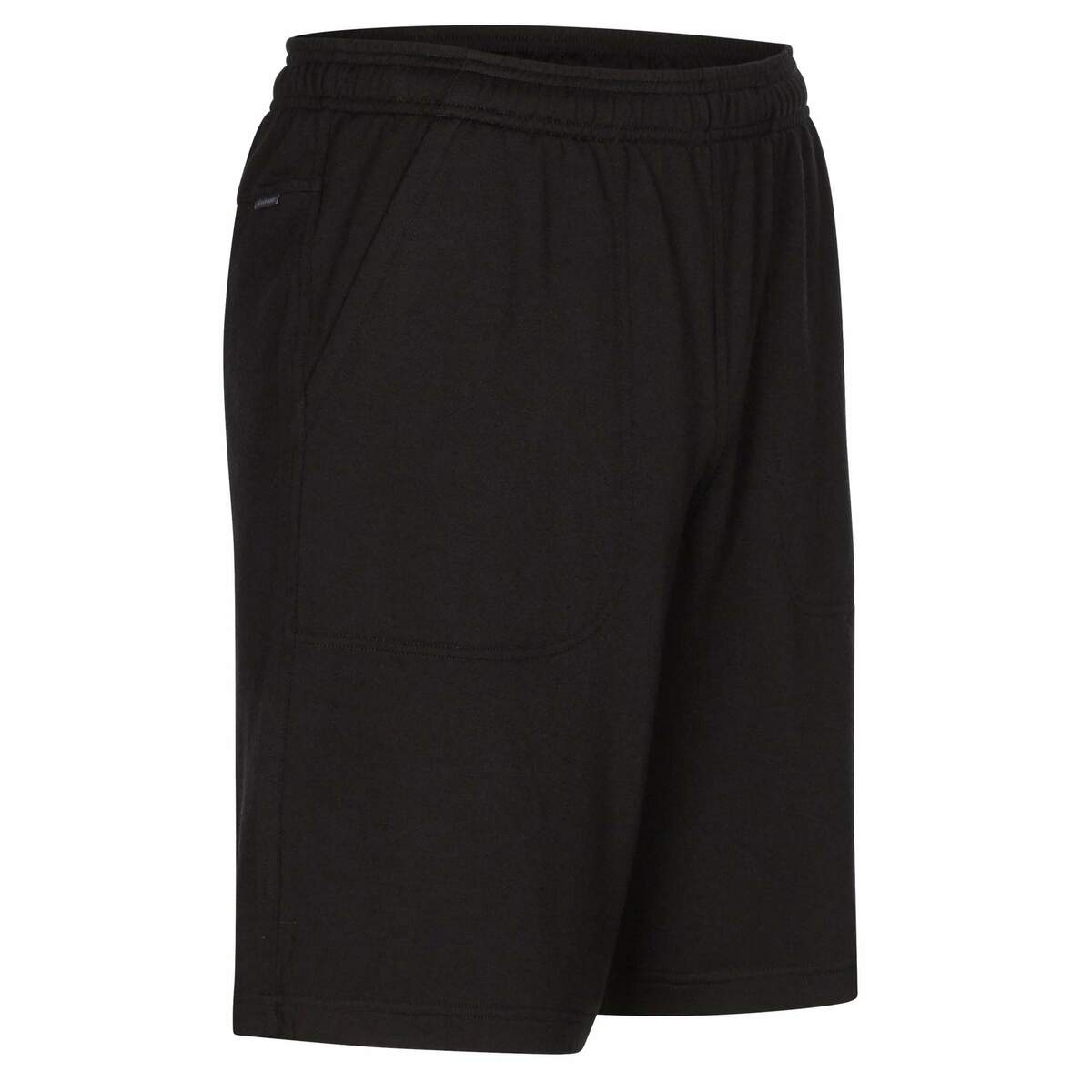 Bild 2 von Icebreaker
              
                 MEN SHIFTER SHORTS Herren - Shorts