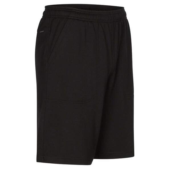 Bild 2 von Icebreaker
              
                 MEN SHIFTER SHORTS Herren - Shorts