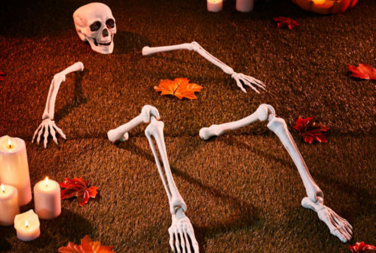 Bild 1 von Skelett-Steck-Set