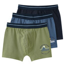 Bild 1 von 3 Jungen Boxer mit Webbund