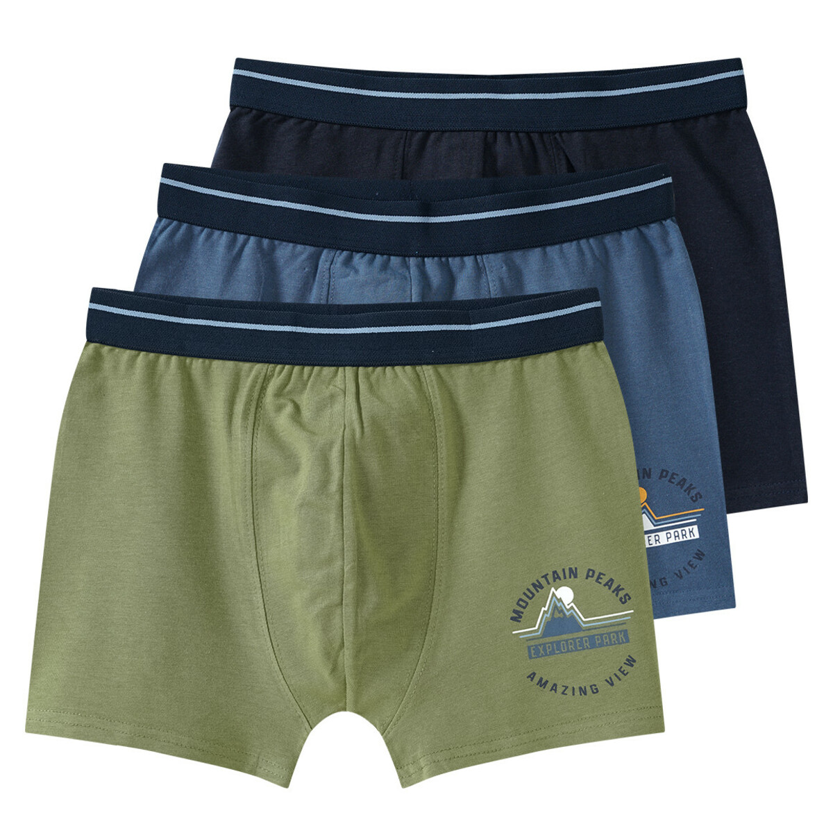 Bild 1 von 3 Jungen Boxer mit Webbund