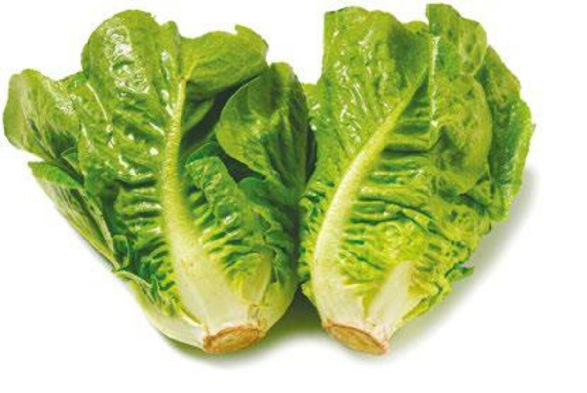 Bild 1 von GO Regio Mini Romana