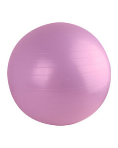 Gymnastikball
       
       Ø ca. 100 cm
   
      altrosa