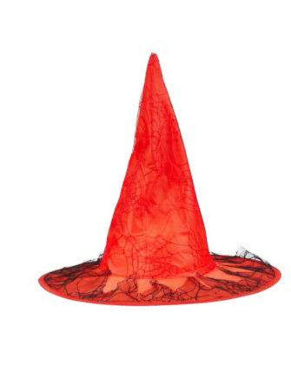 Bild 1 von Hexenhut mit Spinnennetz