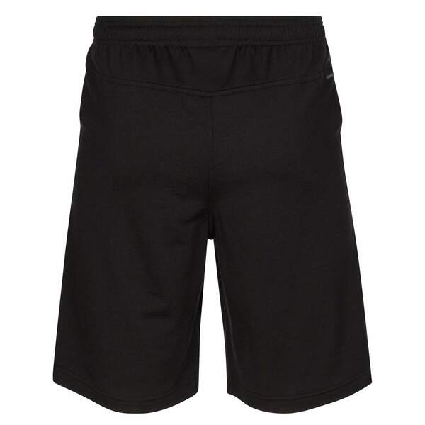 Bild 3 von Icebreaker
              
                 MEN SHIFTER SHORTS Herren - Shorts