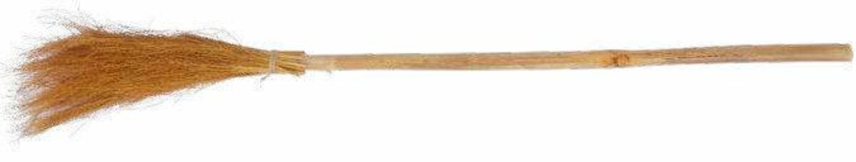 Bild 1 von Hexenbesen