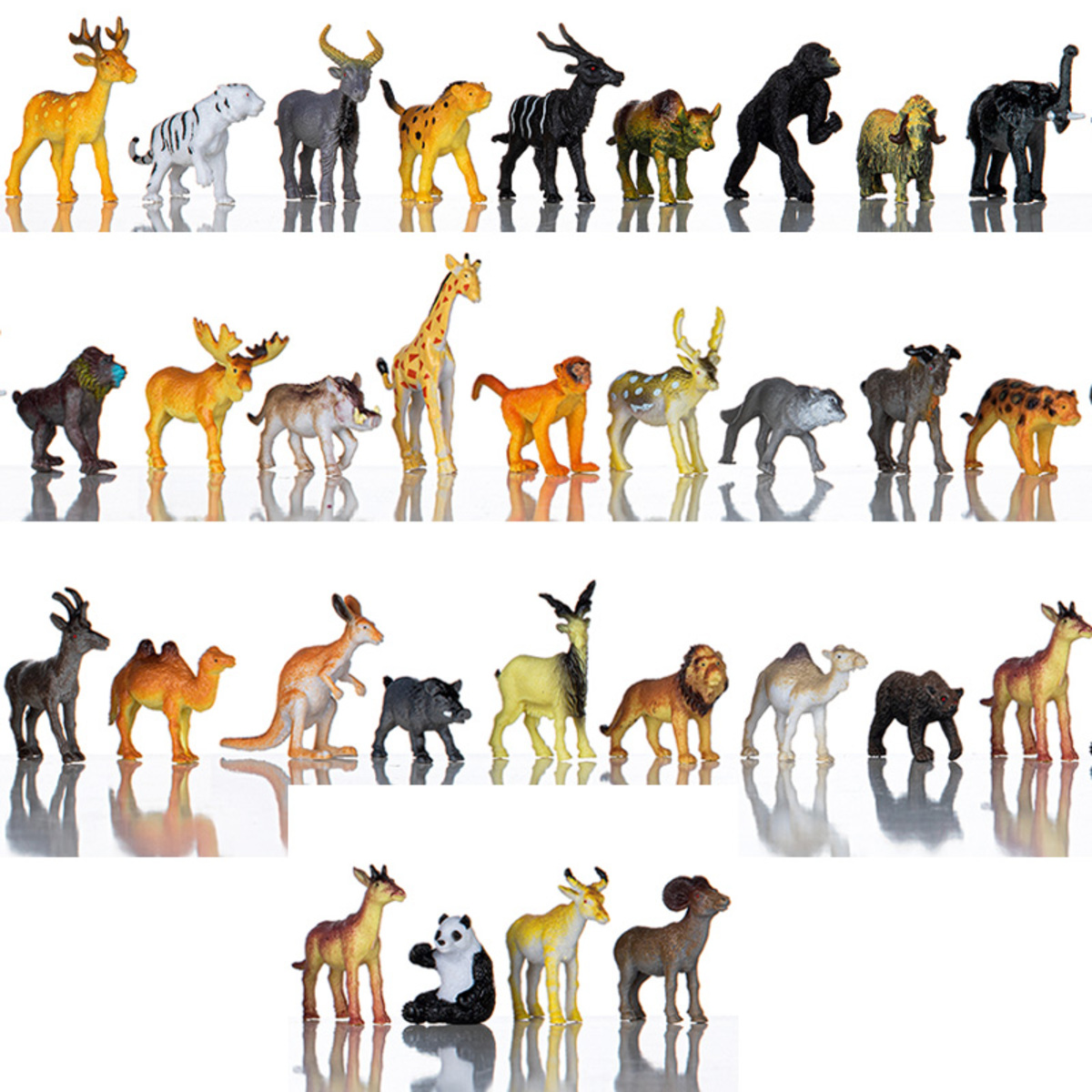 Bild 1 von Lustige Spieltiere