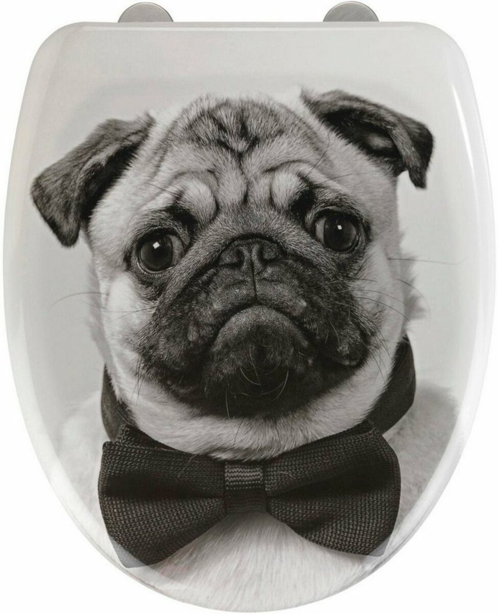 Bild 1 von WENKO WC-Sitz Pugy