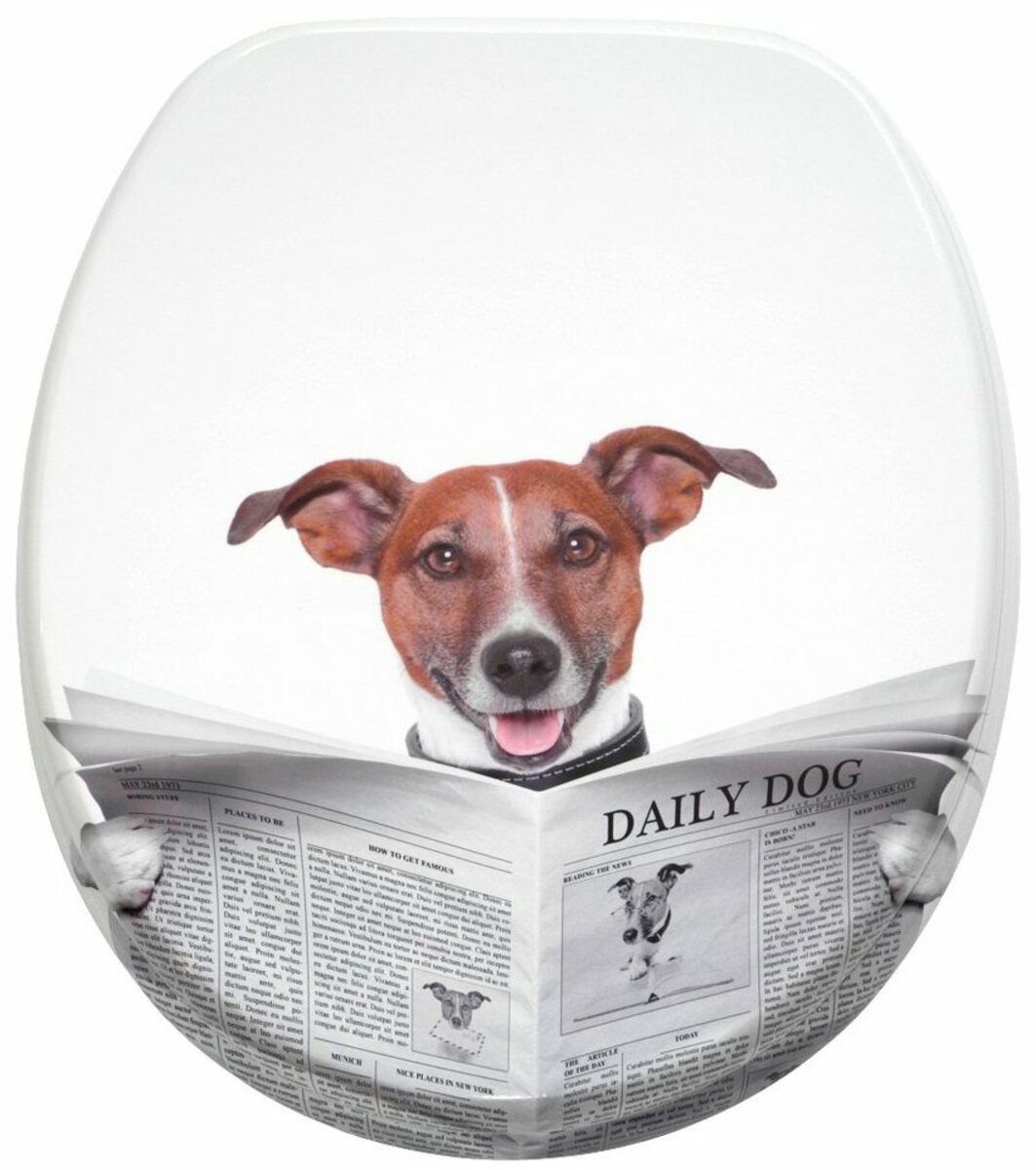 Bild 1 von Sanilo WC-Sitz Newspaper, mit Absenkautomatik