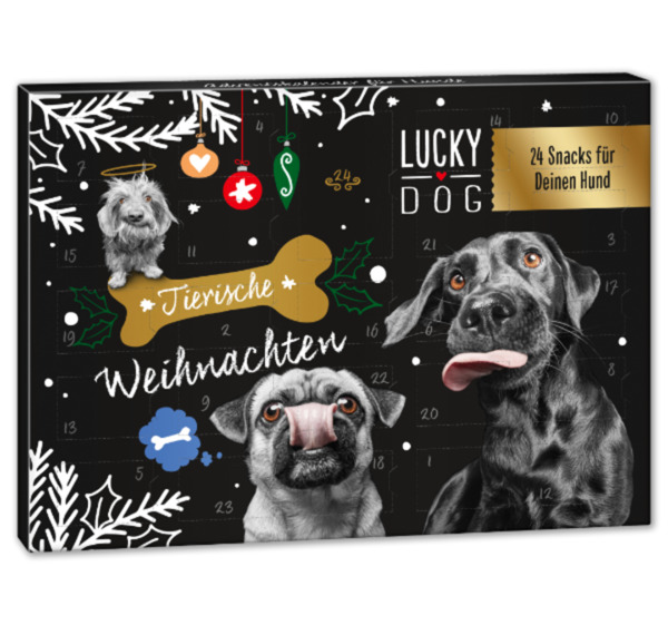 Bild 1 von LUCKY DOG Adventskalender*