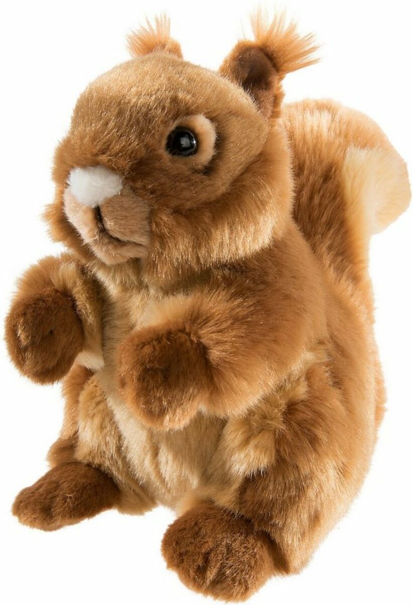 Bild 1 von Heunec® Kuscheltier Misanimo, Eichhörnchen, 20 cm