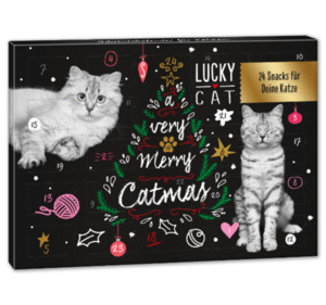LUCKY CAT Adventskalender*