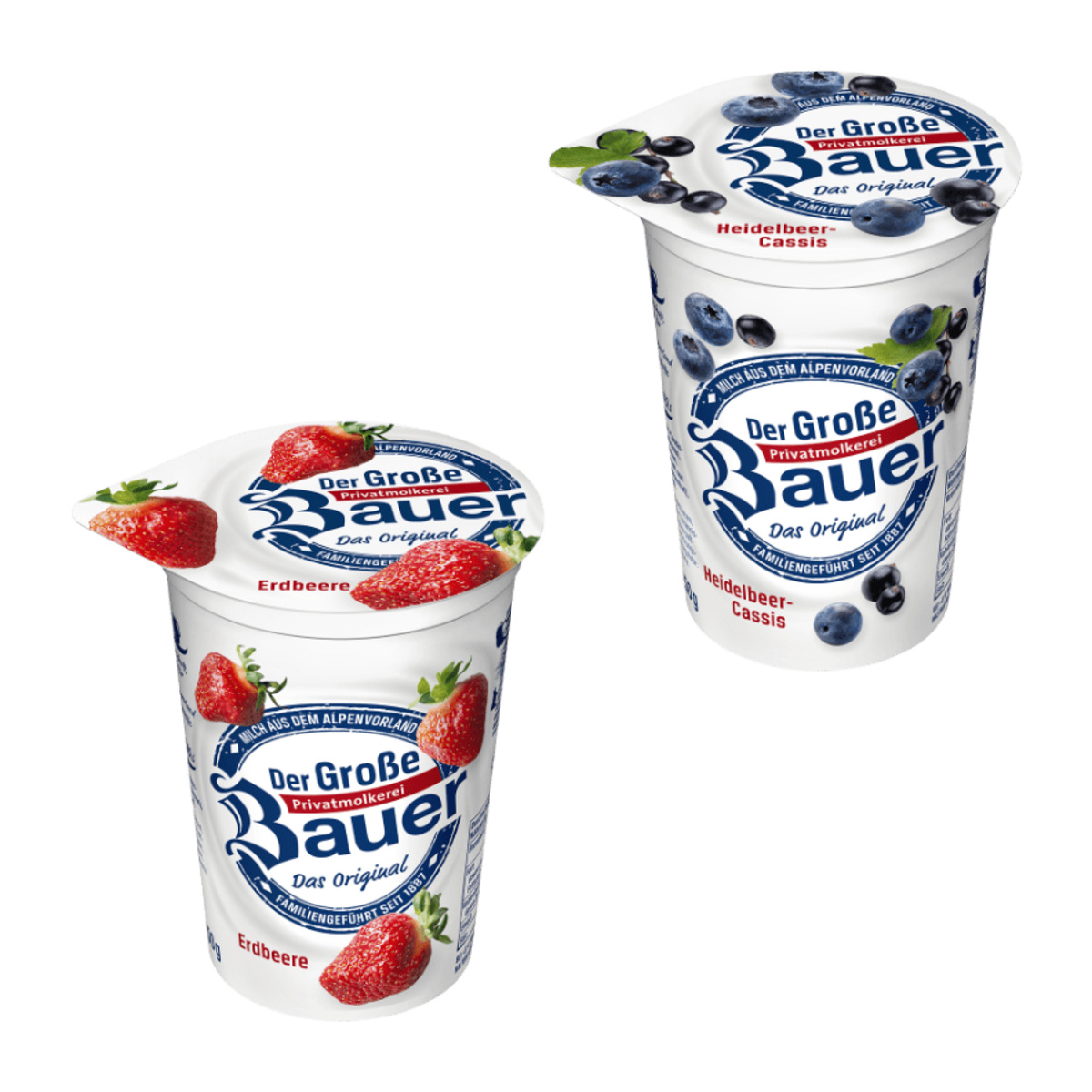 Bild 1 von BAUER Der Große Bauer