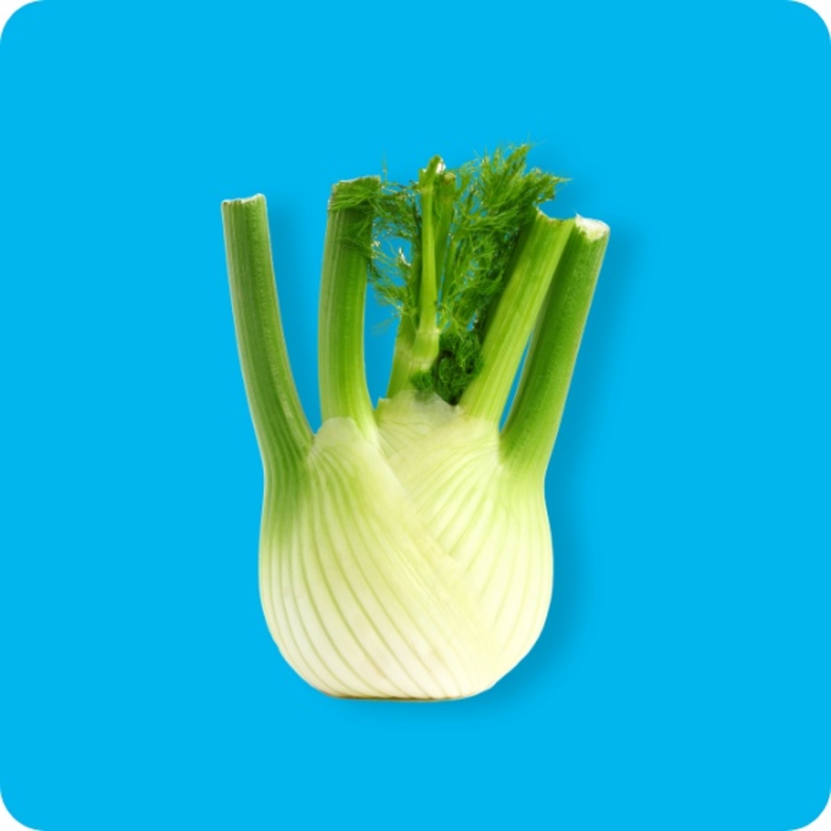 Fenchel von ALDI SÜD ansehen!