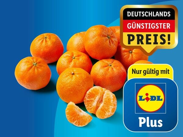 Bild 1 von Mandarinen/Satsumas XXL, 
         1,5 kg