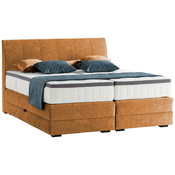 Bild 1 von Novel BOXSPRINGBETT Cognac