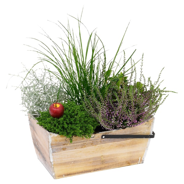 Bild 4 von GARDENLINE Bepflanztes Holzgefäß oder Korb