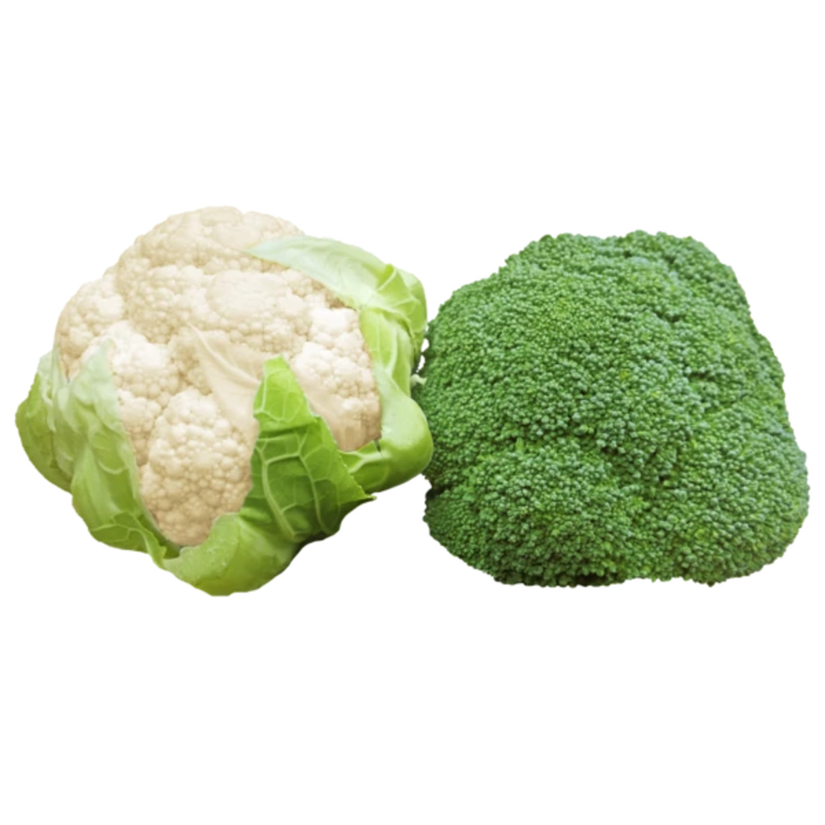 Bild 1 von Deutschland
Bluccoli