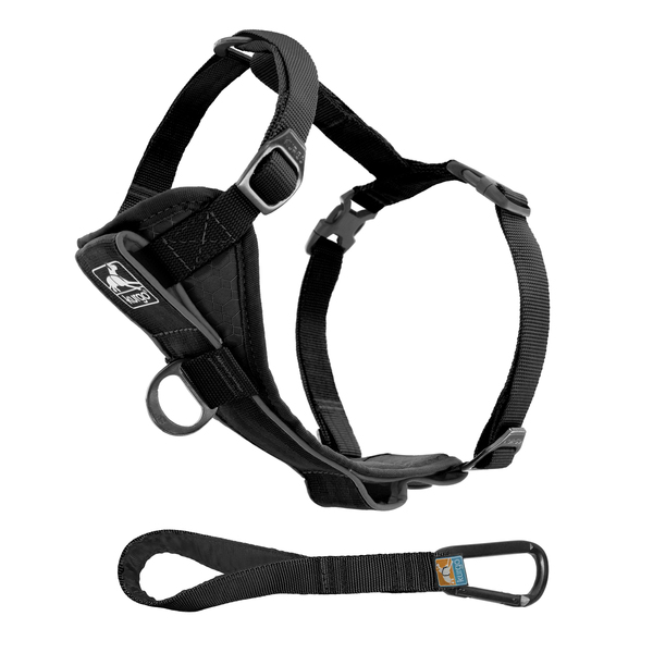 Bild 1 von Kurgo Tru-Fit Smart Hundegeschirr XL