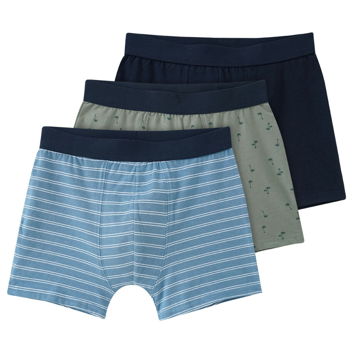 Bild 1 von 3 Jungen Boxer in verschiedenen Dessins