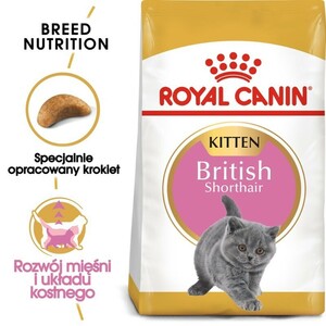 ROYAL CANIN British Shorthair Kitten 10 kg