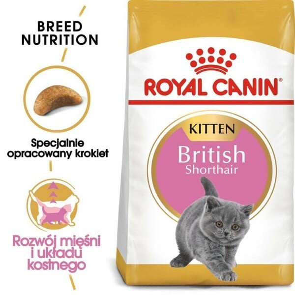 Bild 1 von ROYAL CANIN British Shorthair Kitten 10 kg