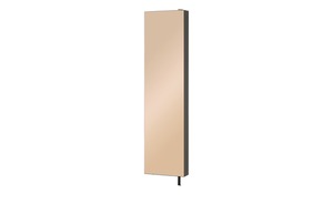 Schuh- und Mehrzweckschrank  Santarem schwarz Maße (cm): B: 47 H: 187,5 T: 19 Flur- & Dielenmöbel