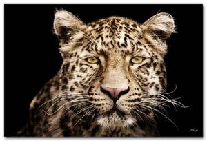 Kollektion Wiedemann Bild &quot;LEOPARD&quot;, Materialmix