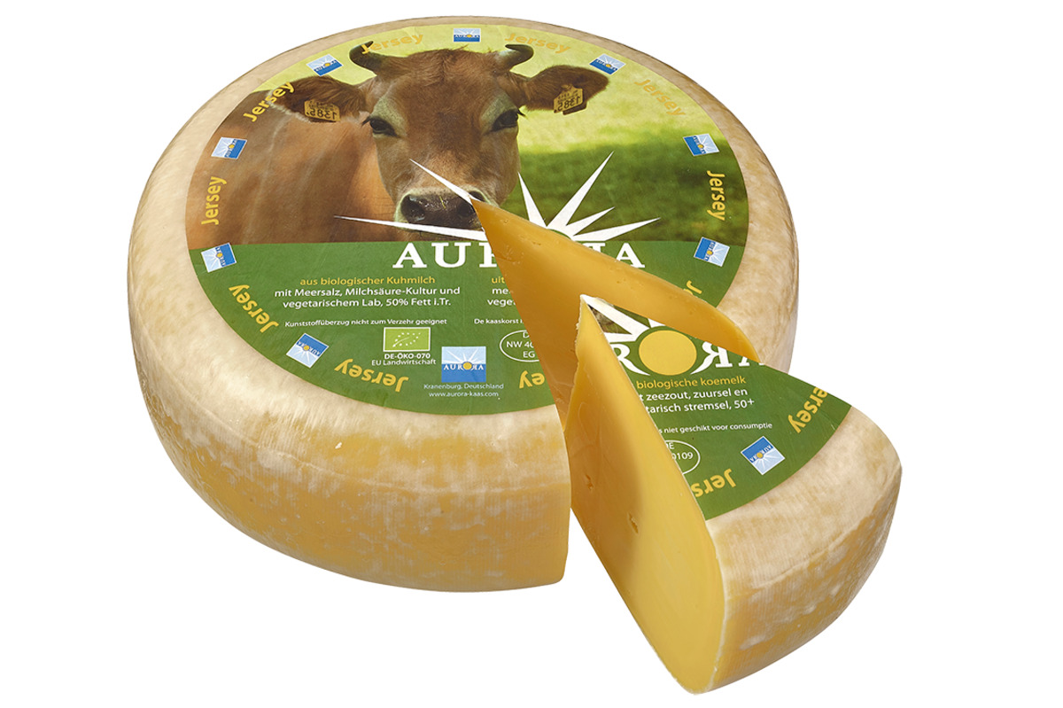 Bild 1 von Gouda Jersey