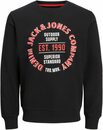 Bild 1 von Jack & Jones Sweatshirt JJ JJANDY SWEAT CREW NECK