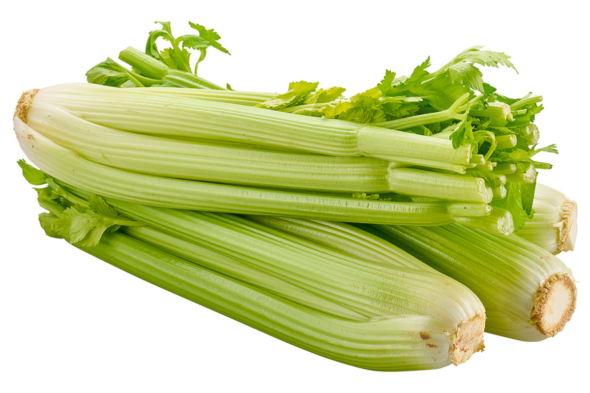 Bild 1 von Stangensellerie