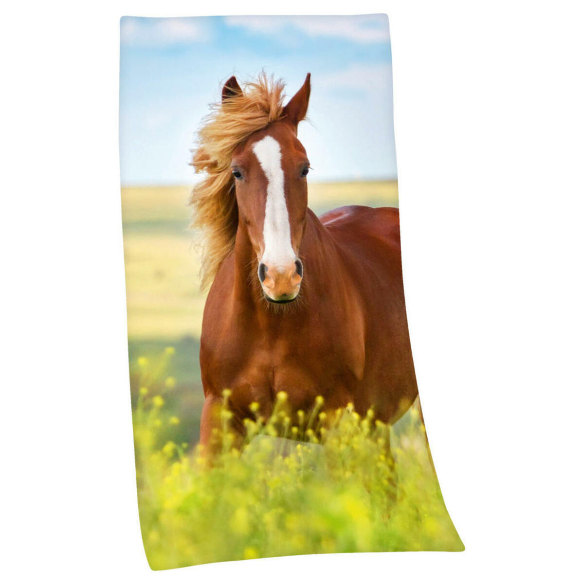 Bild 1 von Herding BADETUCH Blau, Braun, Grün, Mehrfarbig