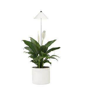 Parus by Venso SUNLiTE 7W LED Vollspektrum Pflanzenlampe Weiß, Indoor Plants Pflanzen Beleuchtung, mit ausziehbarem Teleskopstab, Parus Pflanzenlampe für kleine und mittelgroße Zimmerpflanzen
