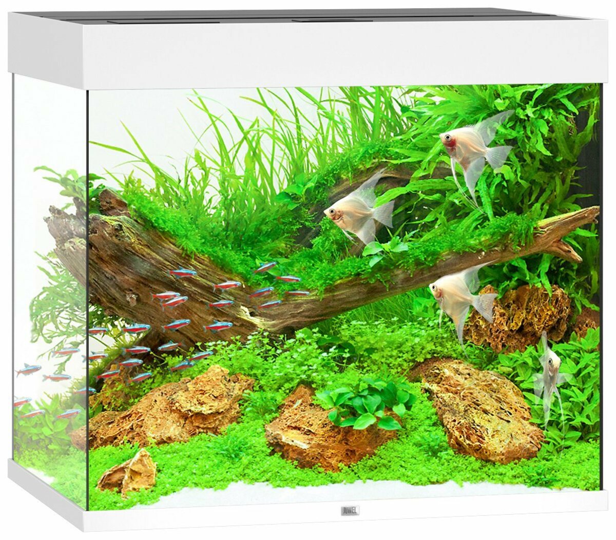 Bild 1 von JUWEL AQUARIEN Aquarium Lido 200 LED, BxTxH: 71x51x65 cm, 200 l, inkl. MultiLux LED Einsatzleuchte