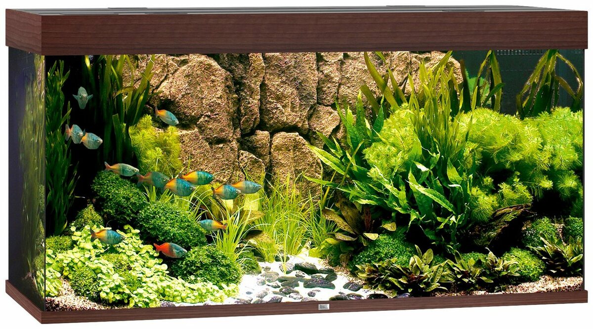 Bild 1 von JUWEL AQUARIEN Aquarium Rio 350 LED, 350 Liter, BxTxH: 121x51x66 cm, inkl. MultiLux LED Einsatzleuchte