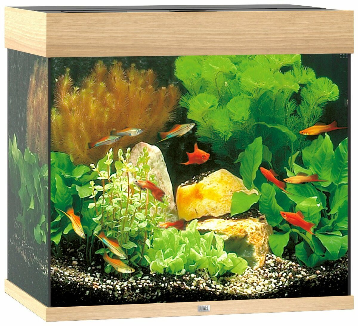 Bild 1 von JUWEL AQUARIEN Aquarium Lido 120 LED, BxTxH: 61x41x58 cm, 120 l, inkl. MultiLux LED Einsatzleuchte