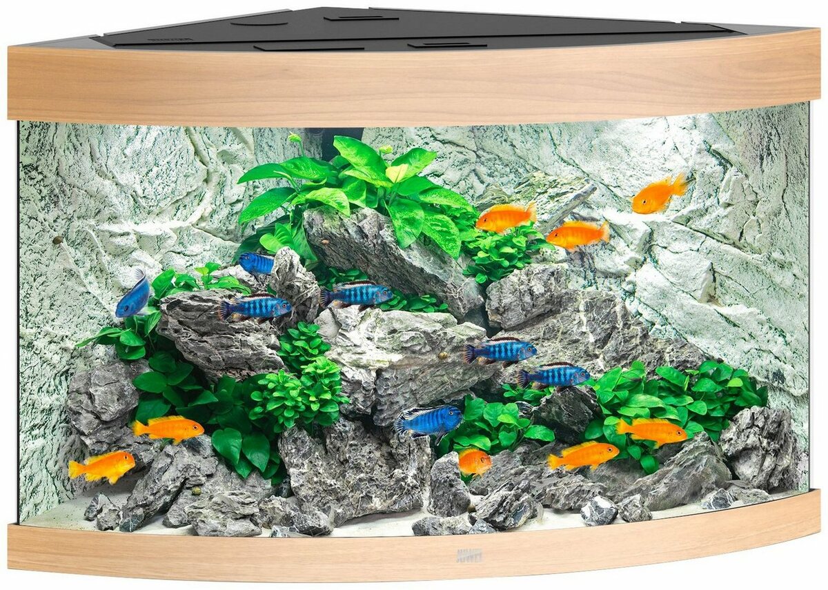 Bild 1 von JUWEL AQUARIEN Aquarium Trigon 190, BxTxH: 98,5x70x60 cm, 190 l, inkl. MultiLux LED Einsatzleuchte