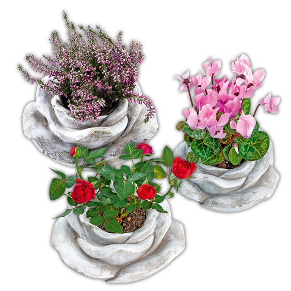 Vintage Steinrosen 3er Set – Antik-stilige Rosen-Deko, Je Ca. 4 Cm Hoch