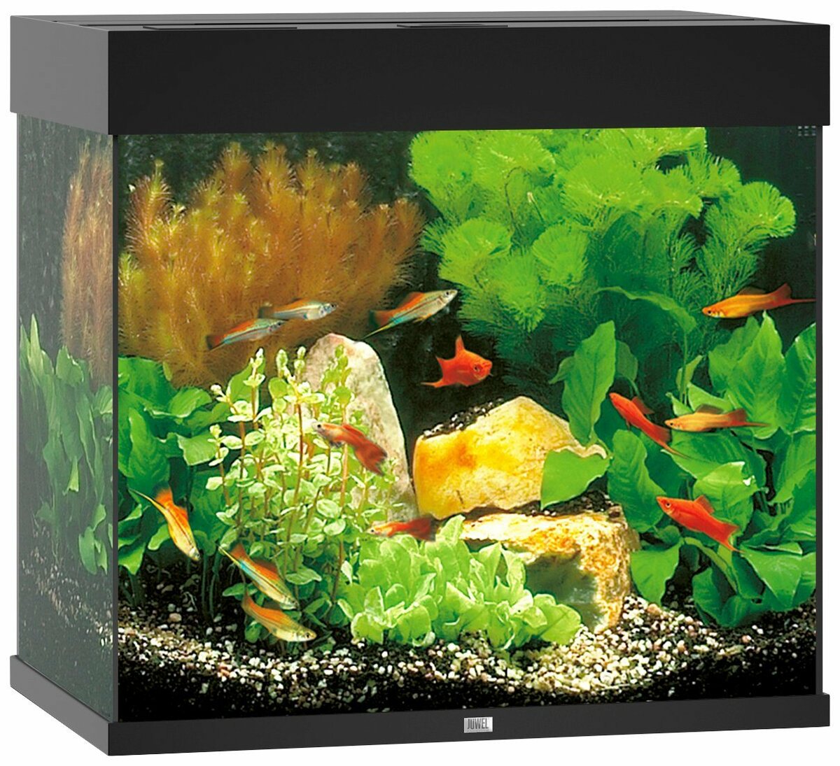 Bild 1 von JUWEL AQUARIEN Aquarium Lido 120 LED, BxTxH: 61x41x58 cm, 120 l, inkl. MultiLux LED Einsatzleuchte