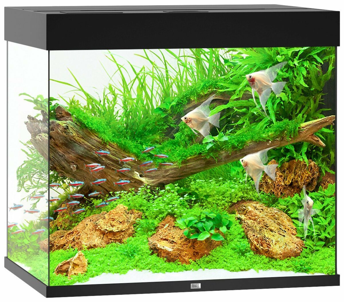 Bild 1 von JUWEL AQUARIEN Aquarium Lido 200 LED, BxTxH: 71x51x65 cm, 200 l, inkl. MultiLux LED Einsatzleuchte