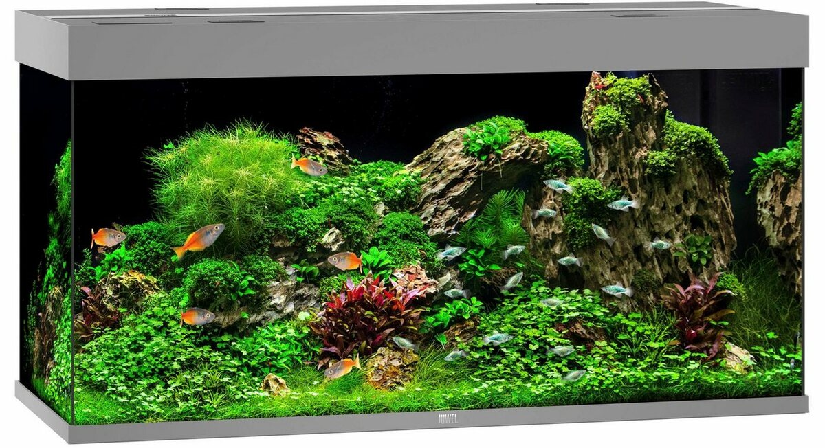 Bild 1 von JUWEL AQUARIEN Aquarium Rio 350 LED, 350 Liter, BxTxH: 121x51x66 cm, inkl. MultiLux LED Einsatzleuchte