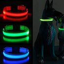 Bild 1 von LED Hundehalsband Hunde, Hunde LED Leuchthalsband, Leuchthal