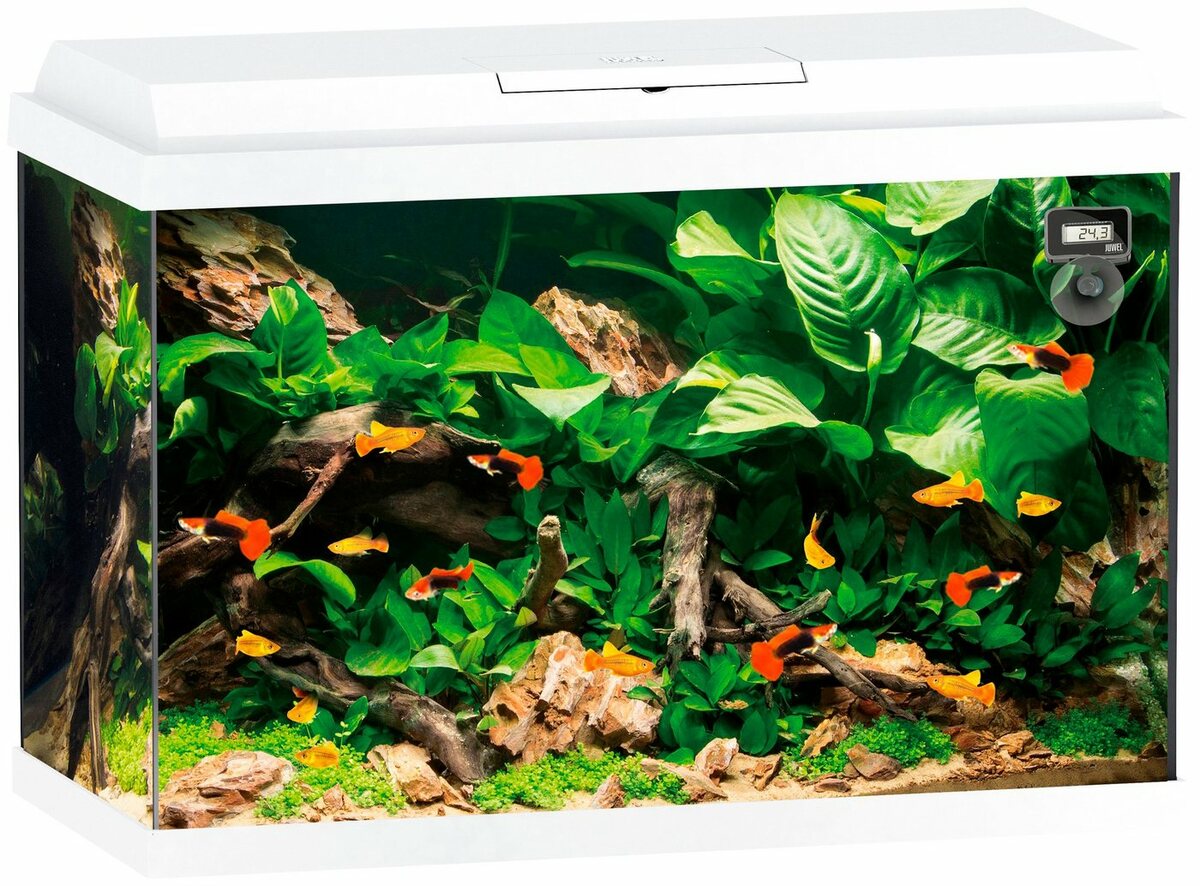 Bild 1 von JUWEL AQUARIEN Aquarium Primo 70, BxTxH: 61x31x44 cm, 70 l