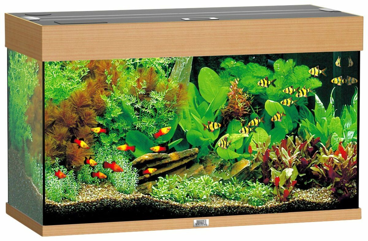 Bild 1 von JUWEL AQUARIEN Aquarium Rio 125 LED, BxTxH: 81x36x50 cm, 125 l, inkl. MultiLux LED Einsatzleuchte
