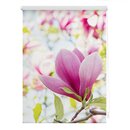 Bild 1 von Lichtblick Rollo Klemmfix, ohne Bohren, Verdunkelung, Magnolie - Rosa